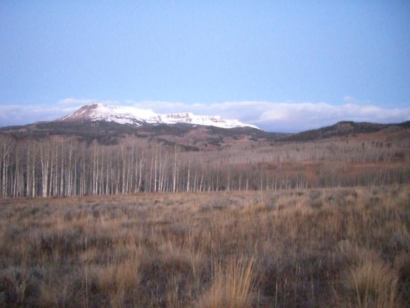 Click for original image